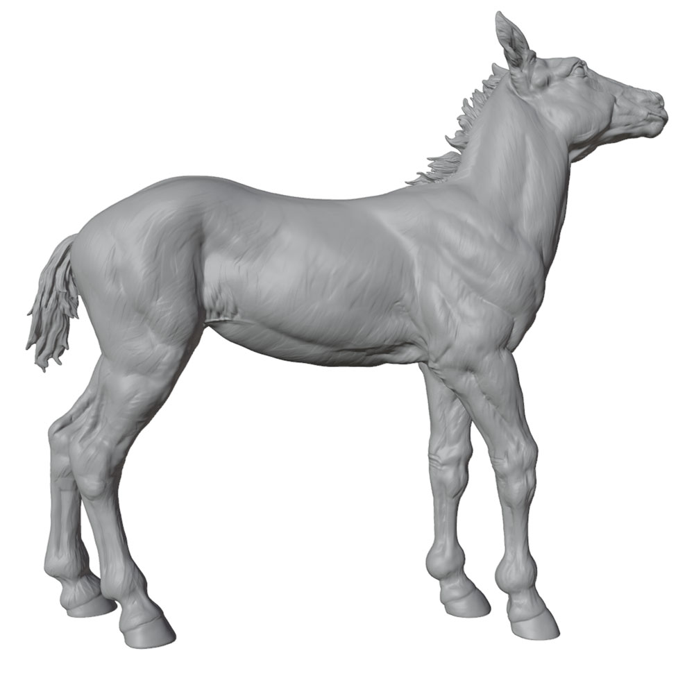 High-Detail Printing, Realisti - đánh giá và giá 3D Printing Apps